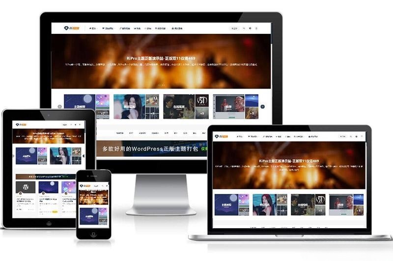 RiPro 付费资源下载 WordPress主题源码 封面