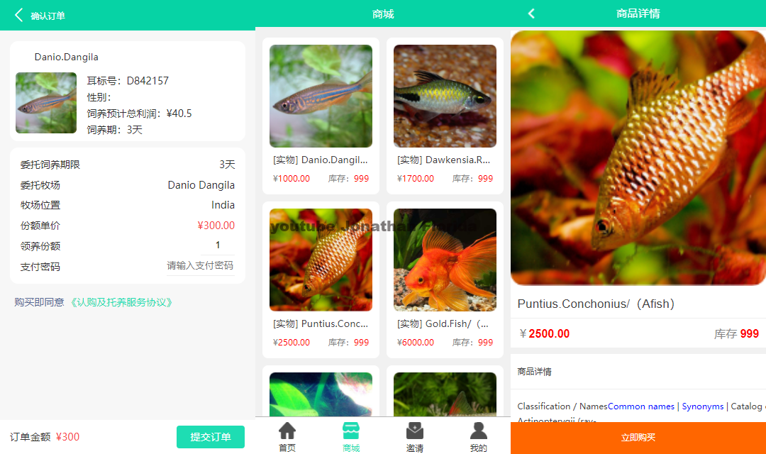 养鱼理财PHP源码 金融投资商城抽奖双语系统 图片