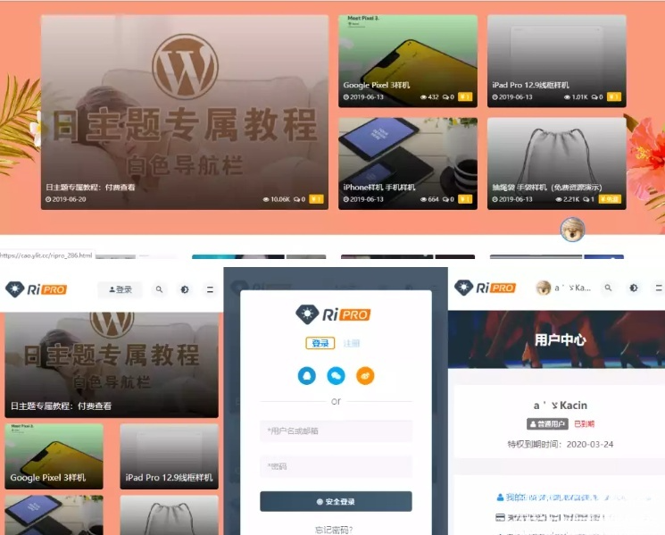 RiPro主题WordPress源码无限制版V8.7 封面