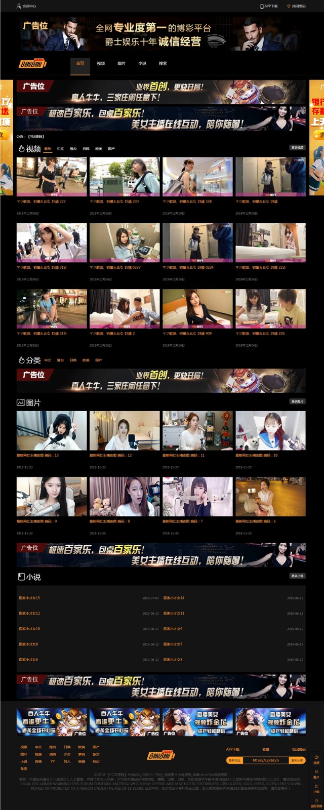 H站PHP网站源码 小说阅读与图片管理 系统下载 封面