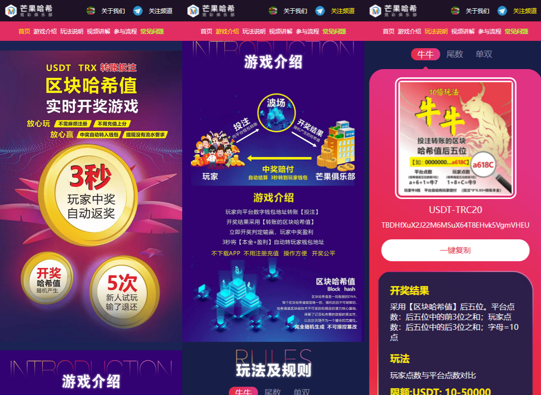 哈希竞猜智能合约返奖系统PHP源码 封面