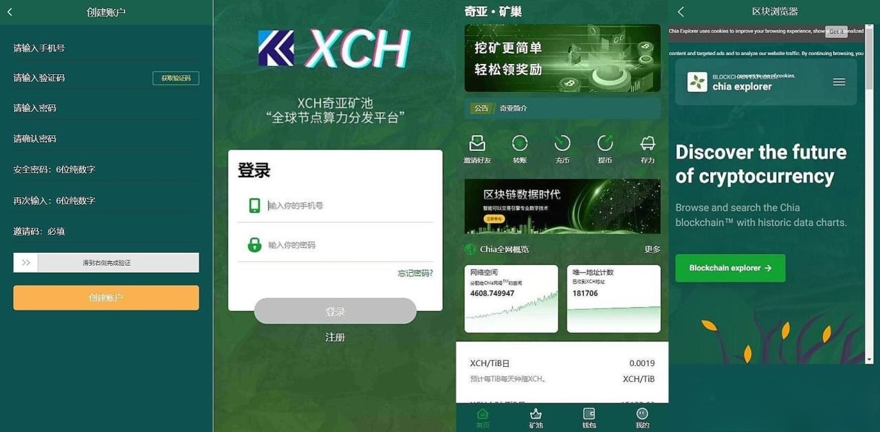 BZZ PHA XCH多币种挖矿分币系统 BTH ETH收益管理平台 图片