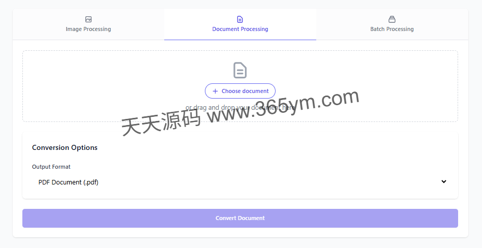 文档图像转换工具 开源Docker部署 图片