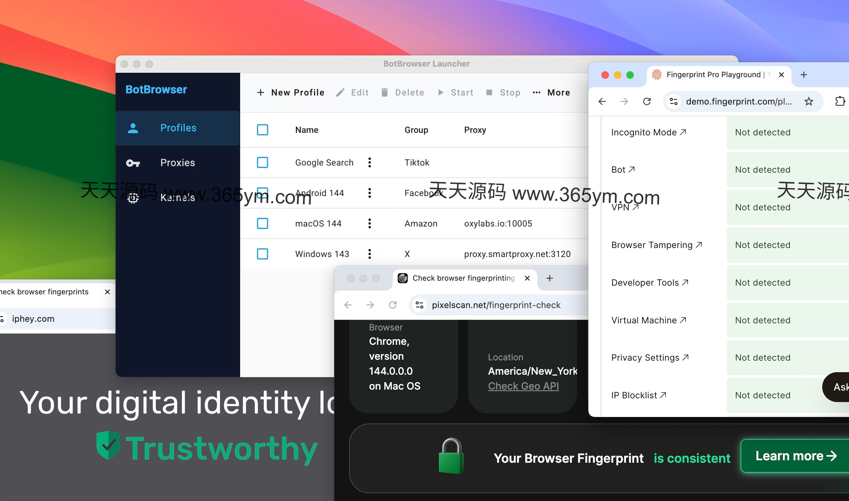 BotBrowser无痕浏览器 多账号矩阵工具 图片