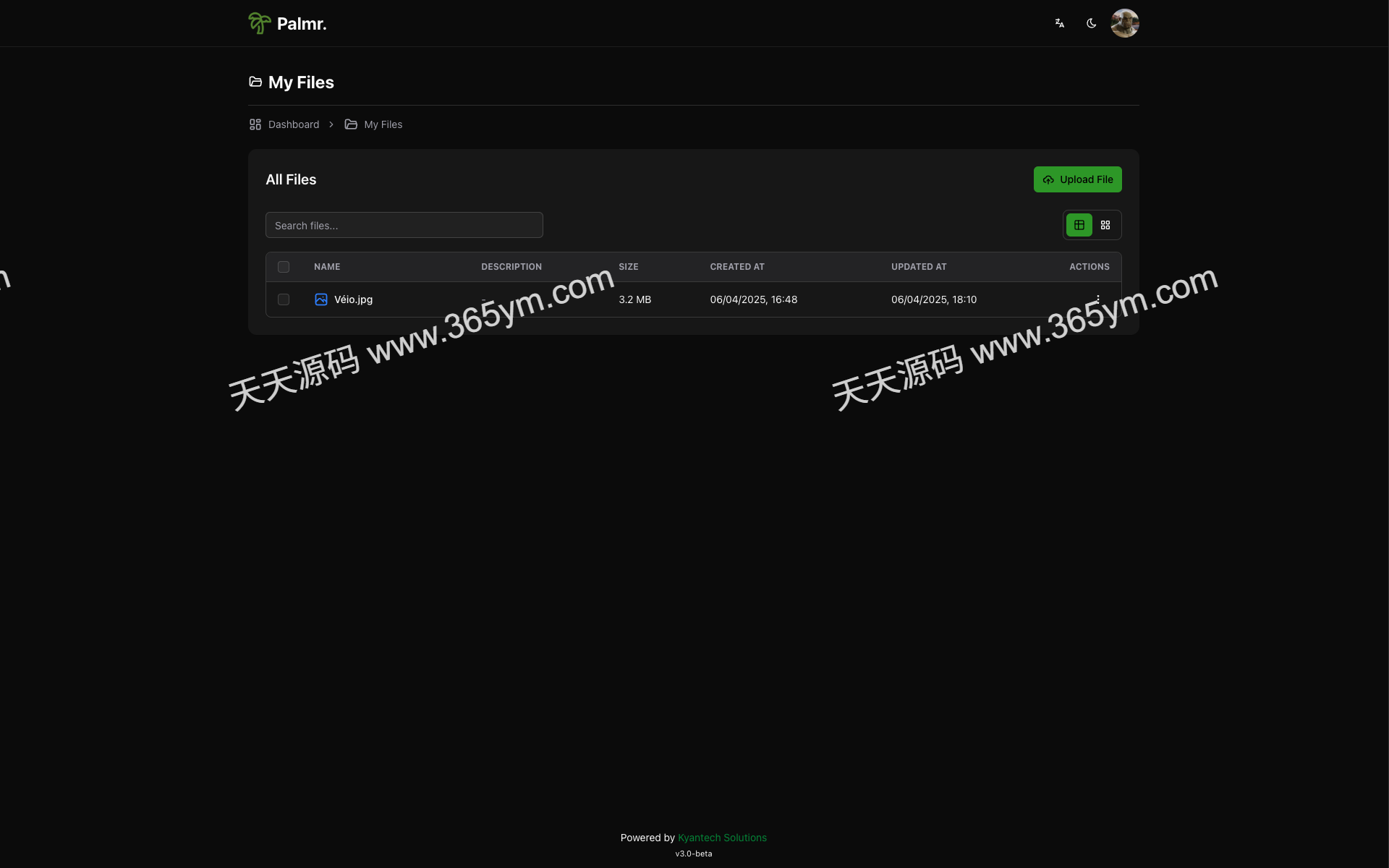 自托管文件分享工具 无大小限制 图片