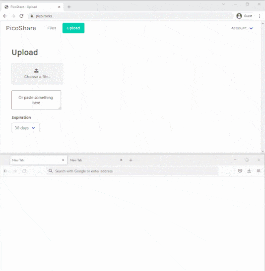 私人文件分享工具 极简Docker部署 图片