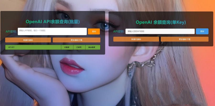OpenAI余额在线查询工具源码 封面