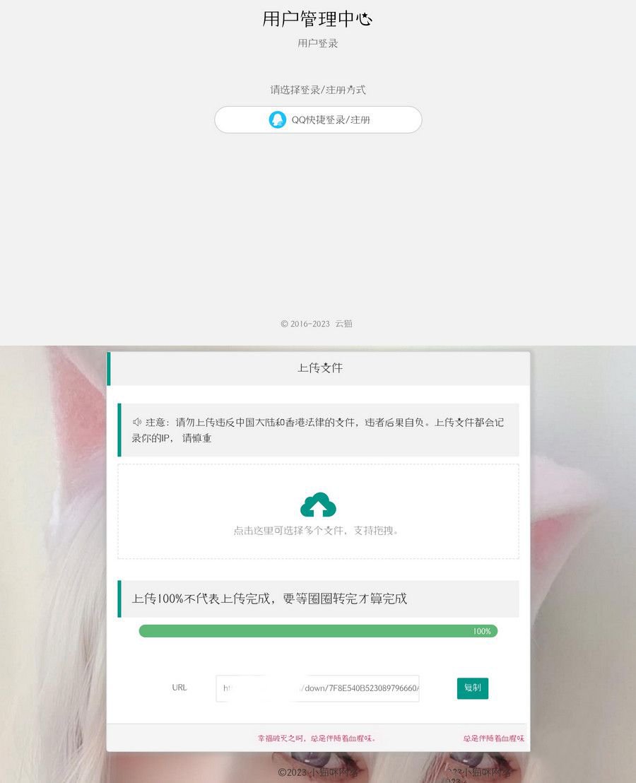 小猫咪网盘1.3源码（带用户系统+后台管理） 图片
