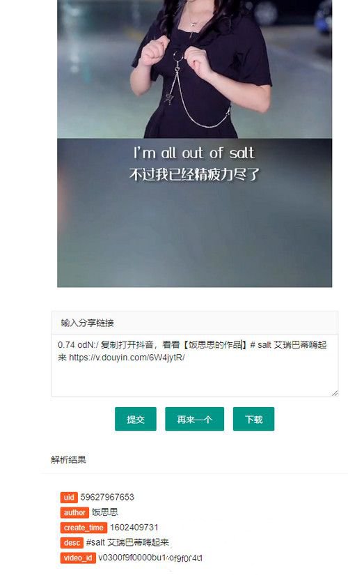 抖音解析无水印下载HTML源码 封面