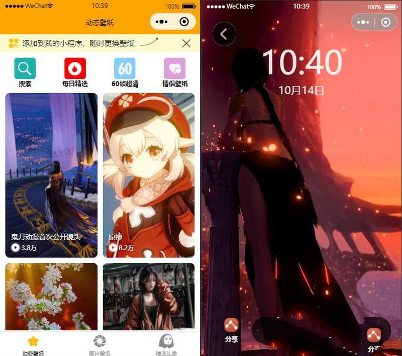 音乐动态壁纸微信小程序源码自动采集更新版 封面