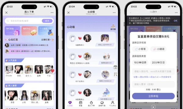 树洞陪玩盲盒PHP源码可自定义陪玩社交系统 封面